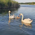 Tisza-tavi Kiserdő Tiszaderzs