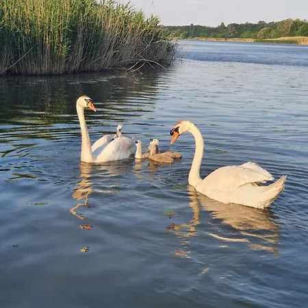 Tisza-tavi Kiserdo Vendeghaz Tiszaderzs