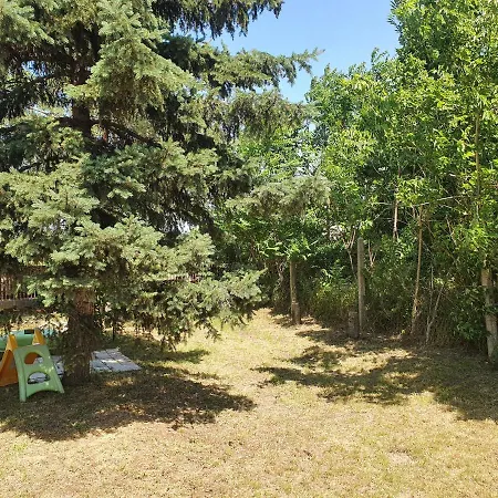 Tisza-tavi Kiserdő