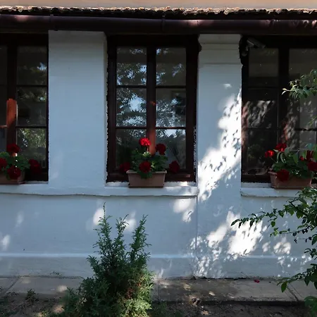 Tisza-tavi Kiserdő