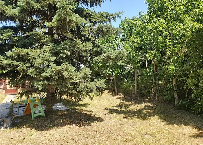 Tisza-tavi Kiserdo Vendeghaz